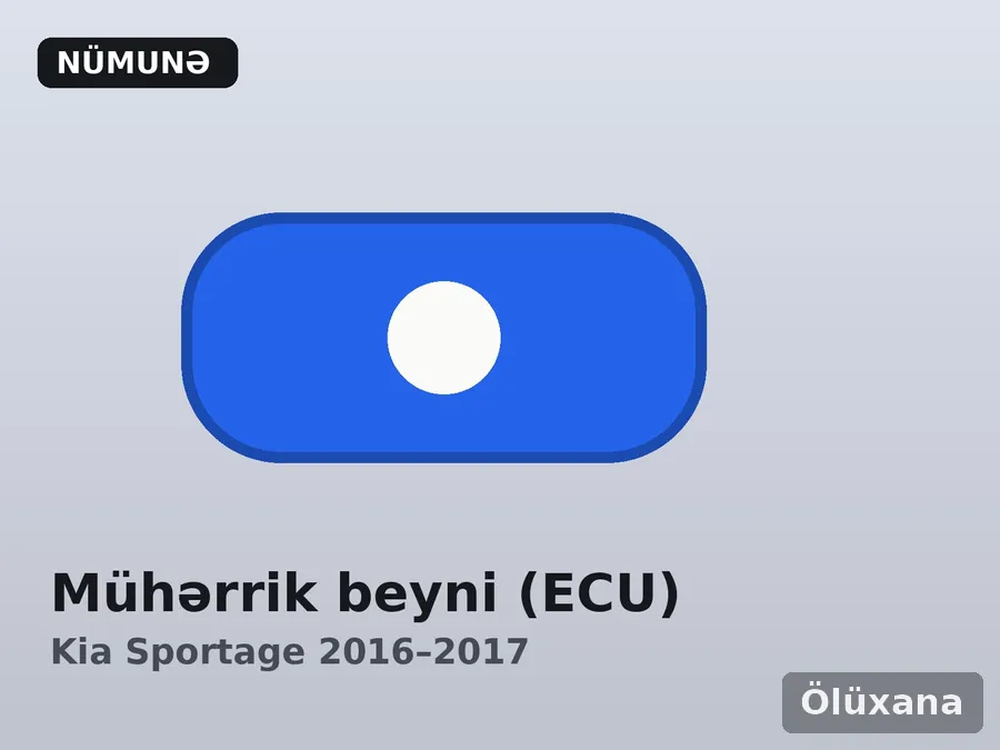 Mühərrik beyni (ECU) — Kia Sportage 2016–2017