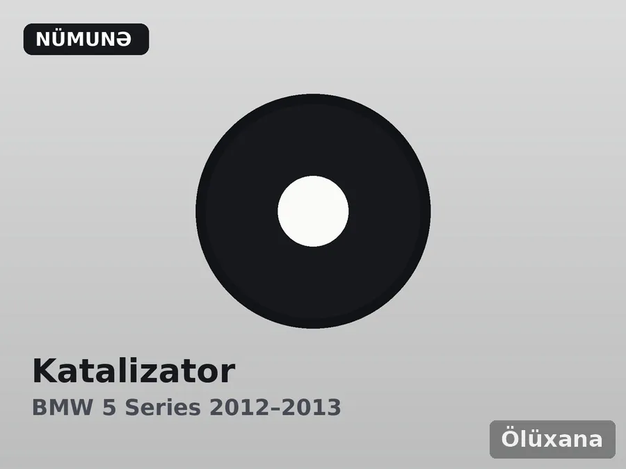 Katalizator — BMW 5 Series 2012–2013