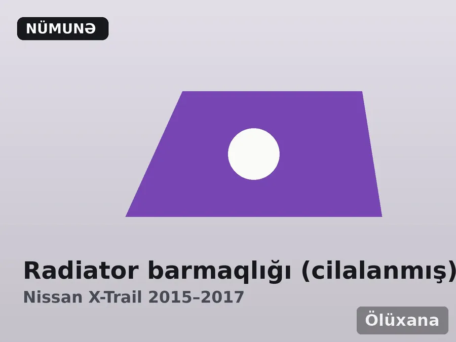 Radiator barmaqlığı (cilalanmış) — Nissan X-Trail 2015–2017