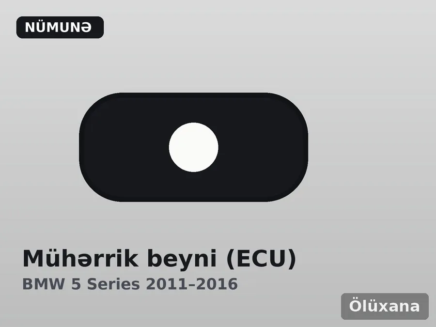 Mühərrik beyni (ECU) — BMW 5 Series 2011–2016
